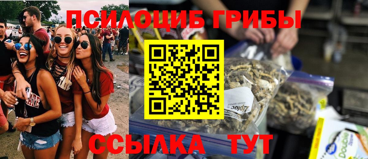 Галлюциногенные грибы GOLDEN TEACHER  Вход с VPN  Псилоцибиновые грибы Psilocybe  Елабуга 